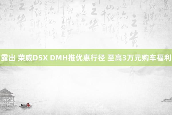 露出 荣威D5X DMH推优惠行径 至高3万元购车福利