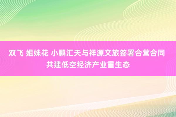 双飞 姐妹花 小鹏汇天与祥源文旅签署合营合同 共建低空经济产业重生态