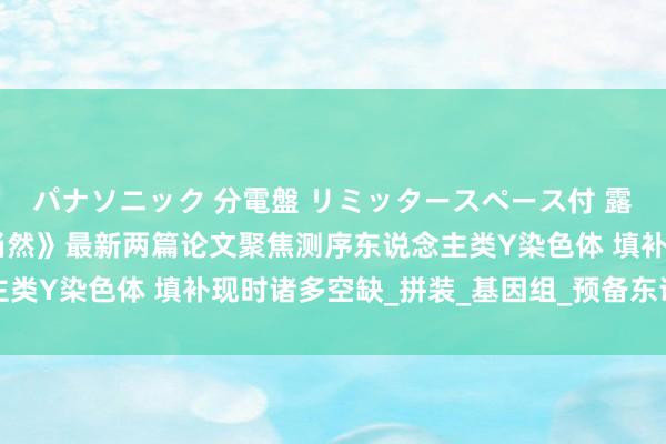 パナソニック 分電盤 リミッタースペース付 露出・半埋込両用形 《当然》最新两篇论文聚焦测序东说念主类Y染色体 填补现时诸多空缺_拼装_基因组_预备东说念主员