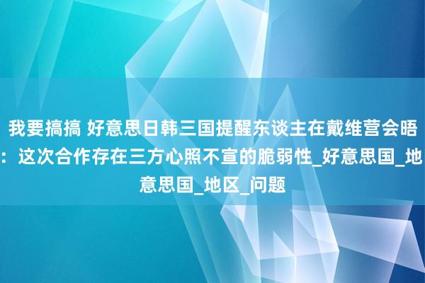 我要搞搞 好意思日韩三国提醒东谈主在戴维营会晤 滕建群：这次合作存在三方心照不宣的脆弱性_好意思国_地区_问题