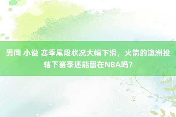 男同 小说 赛季尾段状况大幅下滑，火箭的澳洲投辖下赛季还能留在NBA吗？