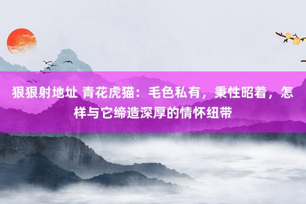 狠狠射地址 青花虎猫：毛色私有，秉性昭着，怎样与它缔造深厚的情怀纽带