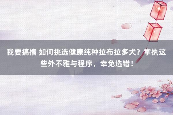 我要搞搞 如何挑选健康纯种拉布拉多犬？掌执这些外不雅与程序，幸免选错！