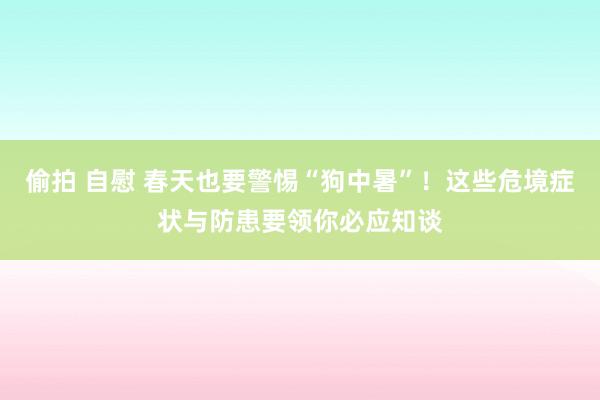 偷拍 自慰 春天也要警惕“狗中暑”！这些危境症状与防患要领你必应知谈
