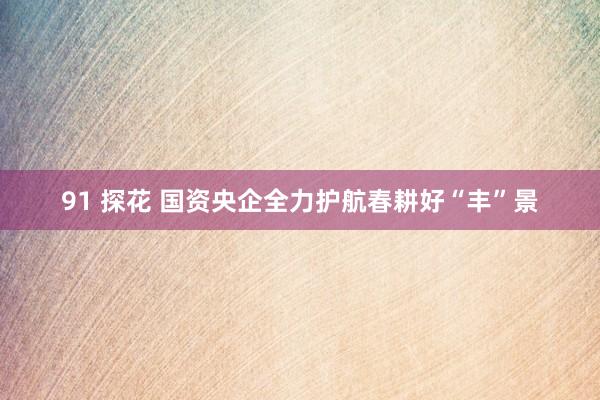 91 探花 国资央企全力护航春耕好“丰”景