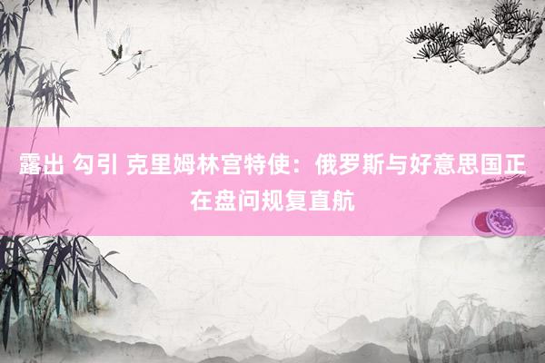 露出 勾引 克里姆林宫特使：俄罗斯与好意思国正在盘问规复直航