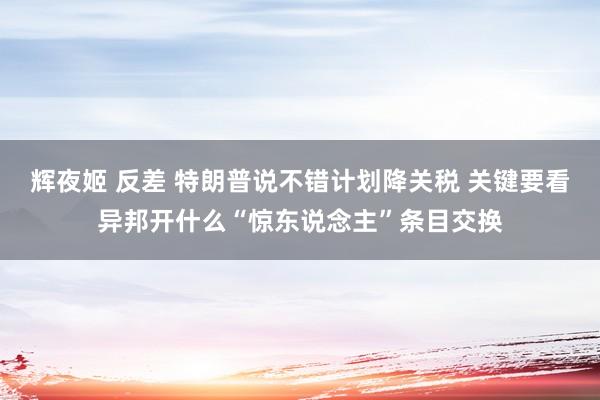 辉夜姬 反差 特朗普说不错计划降关税 关键要看异邦开什么“惊东说念主”条目交换
