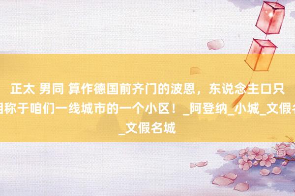 正太 男同 算作德国前齐门的波恩，东说念主口只是相称于咱们一线城市的一个小区！_阿登纳_小城_文假名城