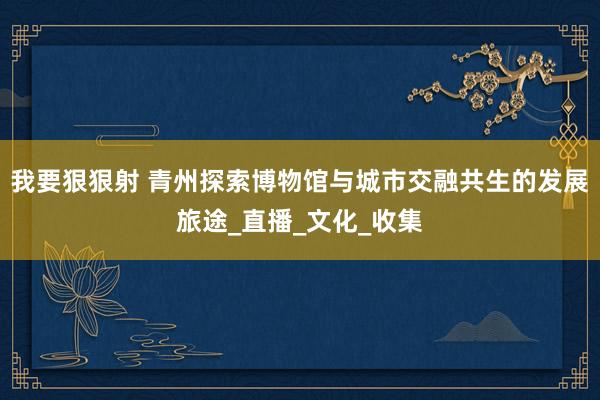 我要狠狠射 青州探索博物馆与城市交融共生的发展旅途_直播_文化_收集