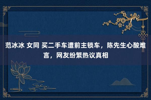 范冰冰 女同 买二手车遭前主锁车，陈先生心酸难言，网友纷繁热议真相