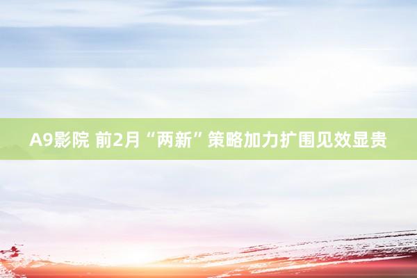 A9影院 前2月“两新”策略加力扩围见效显贵