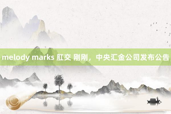 melody marks 肛交 刚刚，中央汇金公司发布公告