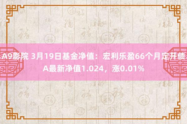 A9影院 3月19日基金净值：宏利乐盈66个月定开债A最新净值1.024，涨0.01%