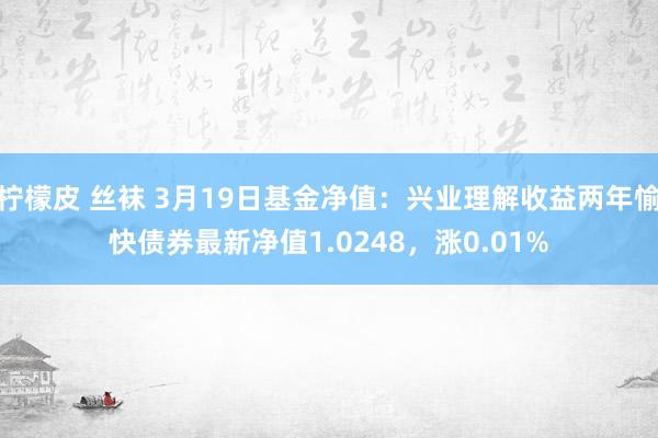 柠檬皮 丝袜 3月19日基金净值：兴业理解收益两年愉快债券最新净值1.0248，涨0.01%