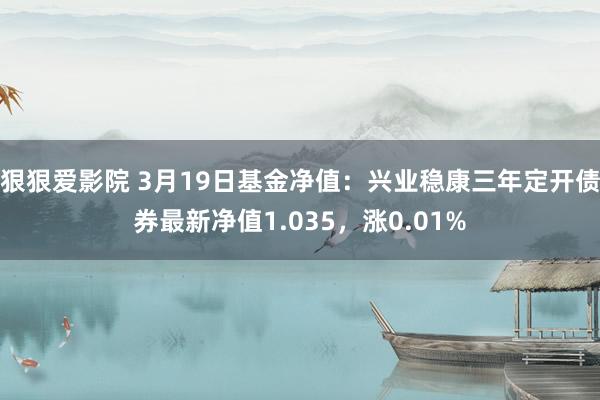 狠狠爱影院 3月19日基金净值：兴业稳康三年定开债券最新净值1.035，涨0.01%
