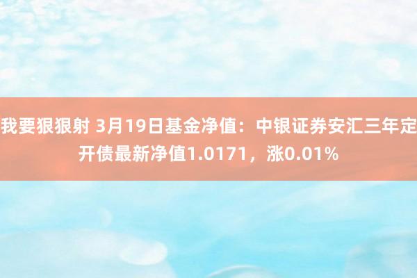 我要狠狠射 3月19日基金净值：中银证券安汇三年定开债最新净值1.0171，涨0.01%