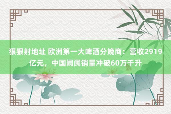 狠狠射地址 欧洲第一大啤酒分娩商：营收2919亿元，中国阛阓销量冲破60万千升