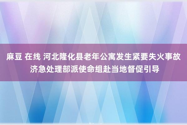麻豆 在线 河北隆化县老年公寓发生紧要失火事故 济急处理部派使命组赴当地督促引导