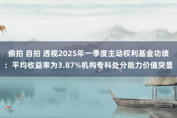 偷拍 自拍 透视2025年一季度主动权利基金功绩：平均收益率为3.87%机构专科处分能力价值突显