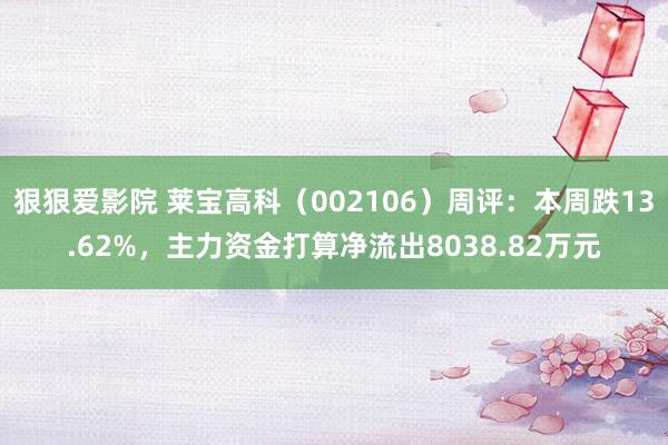 狠狠爱影院 莱宝高科（002106）周评：本周跌13.62%，主力资金打算净流出8038.82万元