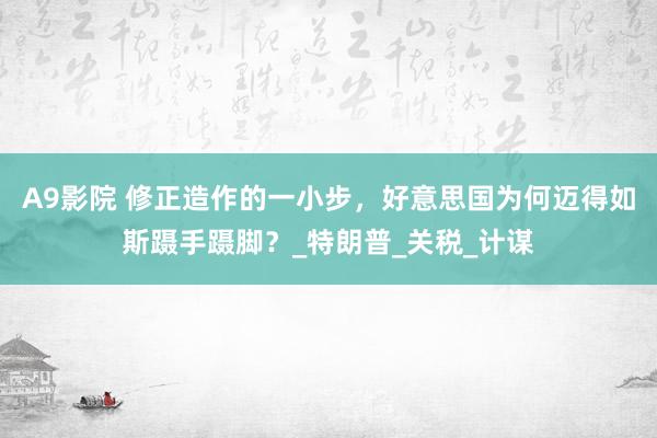 A9影院 修正造作的一小步，好意思国为何迈得如斯蹑手蹑脚？_特朗普_关税_计谋