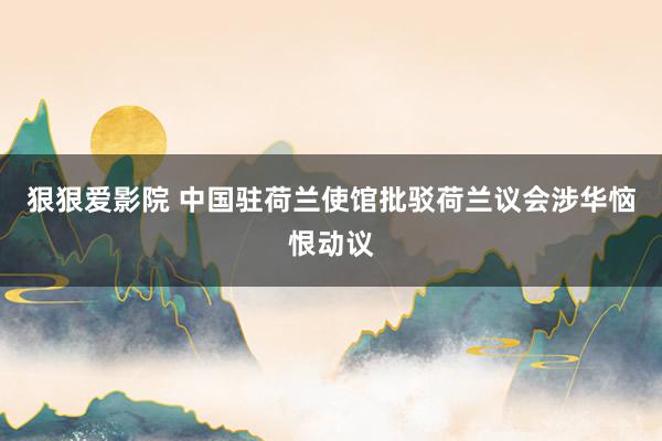 狠狠爱影院 中国驻荷兰使馆批驳荷兰议会涉华恼恨动议