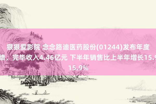 狠狠爱影院 念念路迪医药股份(01244)发布年度功绩，完毕收入4.46亿元 下半年销售比上半年增长15.9%