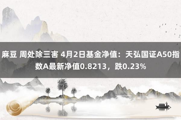 麻豆 周处除三害 4月2日基金净值：天弘国证A50指数A最新净值0.8213，跌0.23%