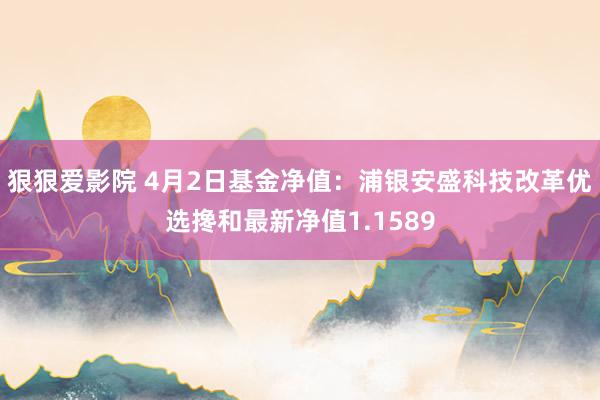 狠狠爱影院 4月2日基金净值：浦银安盛科技改革优选搀和最新净值1.1589