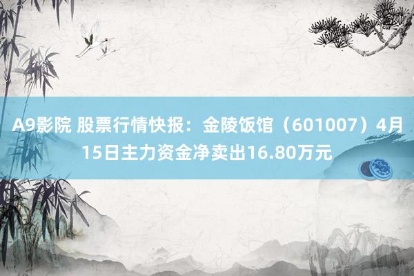 A9影院 股票行情快报：金陵饭馆（601007）4月15日主力资金净卖出16.80万元