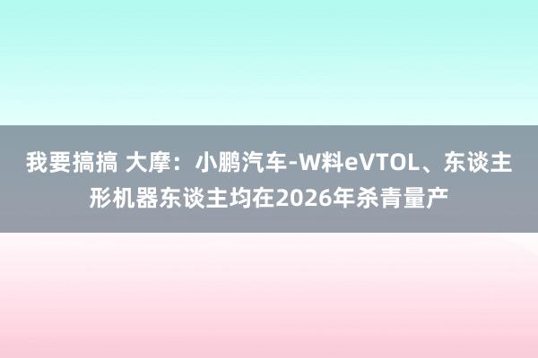 我要搞搞 大摩：小鹏汽车-W料eVTOL、东谈主形机器东谈主均在2026年杀青量产