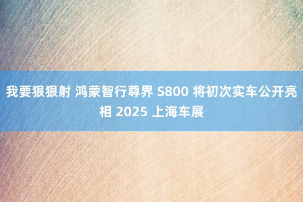 我要狠狠射 鸿蒙智行尊界 S800 将初次实车公开亮相 2025 上海车展