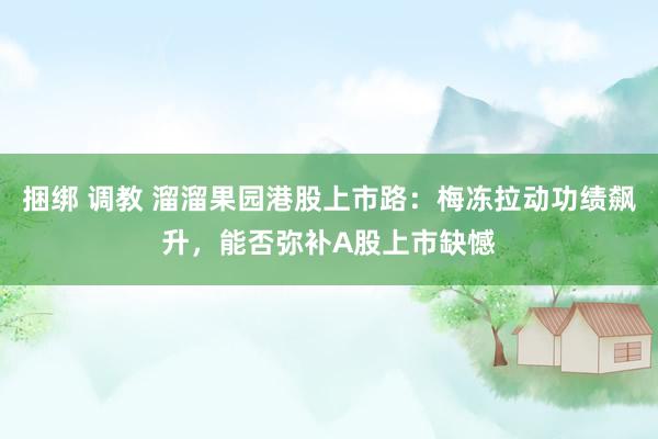 捆绑 调教 溜溜果园港股上市路：梅冻拉动功绩飙升，能否弥补A股上市缺憾