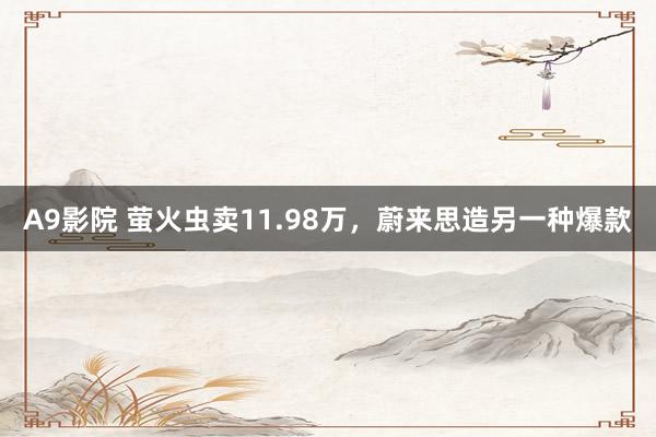 A9影院 萤火虫卖11.98万，蔚来思造另一种爆款
