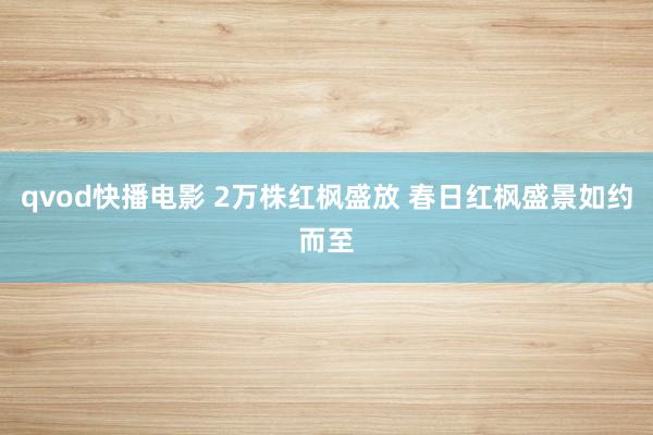 qvod快播电影 2万株红枫盛放 春日红枫盛景如约而至