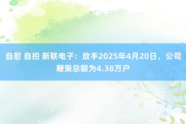自慰 自拍 新联电子：放手2025年4月20日，公司鞭策总额为4.38万户
