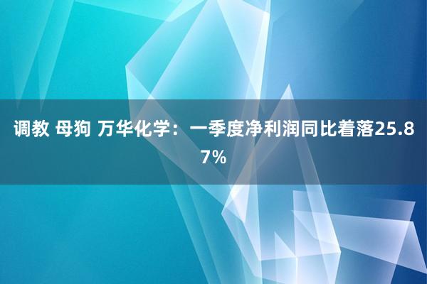 调教 母狗 万华化学：一季度净利润同比着落25.87%