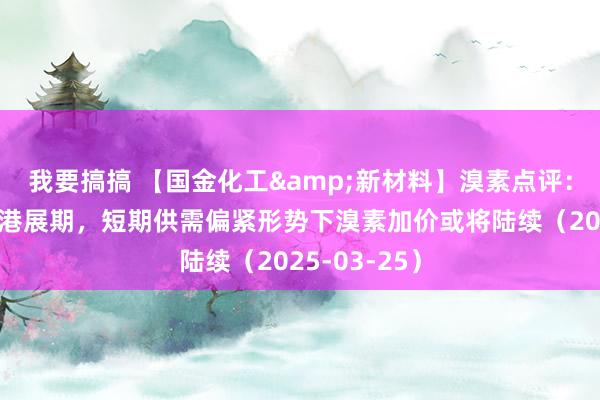 我要搞搞 【国金化工&新材料】溴素点评：番邦货源到港展期，短期供需偏紧形势下溴素加价或将陆续（2025-03-25）