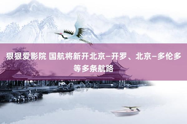 狠狠爱影院 国航将新开北京—开罗、北京—多伦多等多条航路