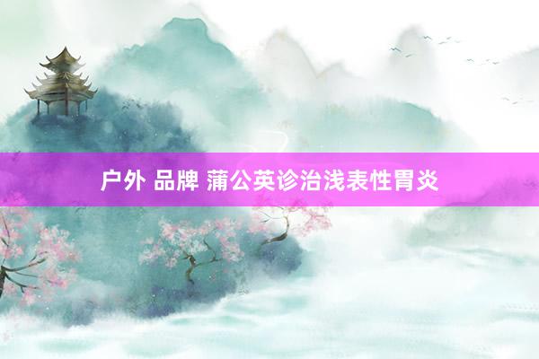 户外 品牌 蒲公英诊治浅表性胃炎