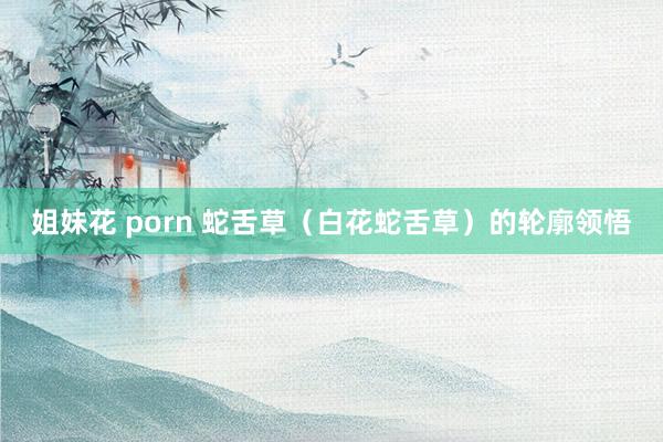 姐妹花 porn 蛇舌草（白花蛇舌草）的轮廓领悟