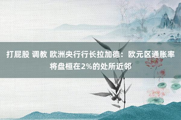 打屁股 调教 欧洲央行行长拉加德：欧元区通胀率将盘桓在2%的处所近邻