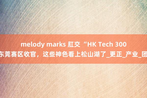 melody marks 肛交 “HK Tech 300”东莞赛区收官，这些神色看上松山湖了_更正_产业_团队