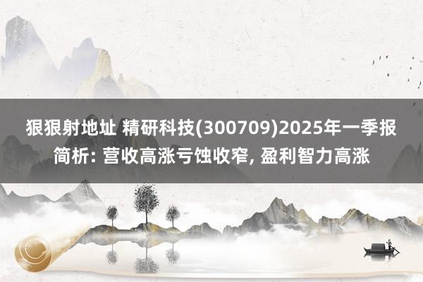 狠狠射地址 精研科技(300709)2025年一季报简析: 营收高涨亏蚀收窄， 盈利智力高涨