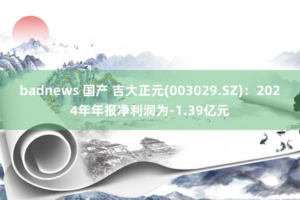 badnews 国产 吉大正元(003029.SZ)：2024年年报净利润为-1.39亿元