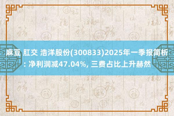麻豆 肛交 浩洋股份(300833)2025年一季报简析: 净利润减47.04%， 三费占比上升赫然